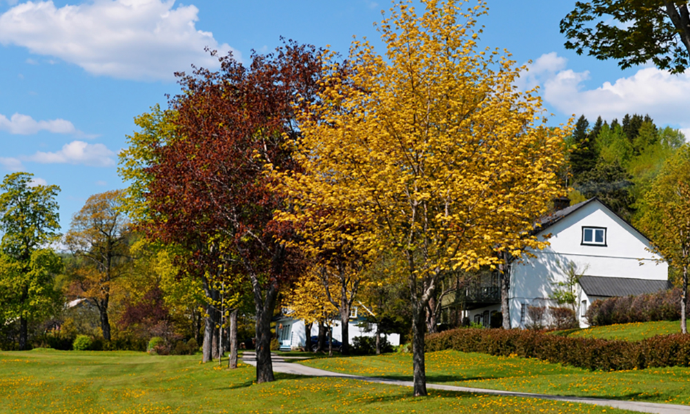View on Saint-Joseph-De-La-Rive